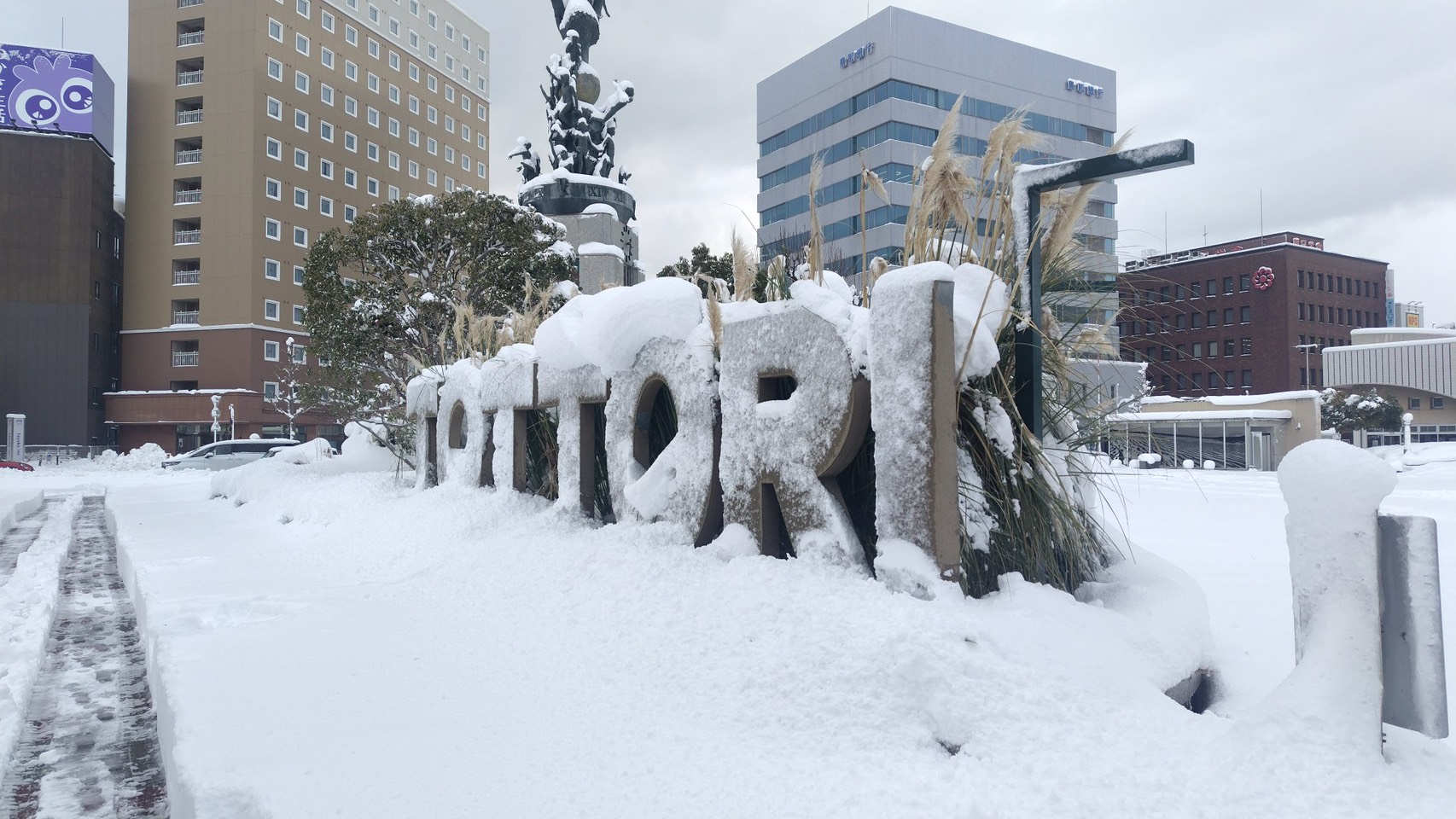 鳥取の大雪
