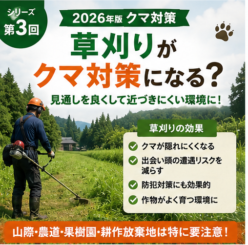 第3回｜草刈りがクマ対策になる？田んぼ・畑の周りをきれいにする理由