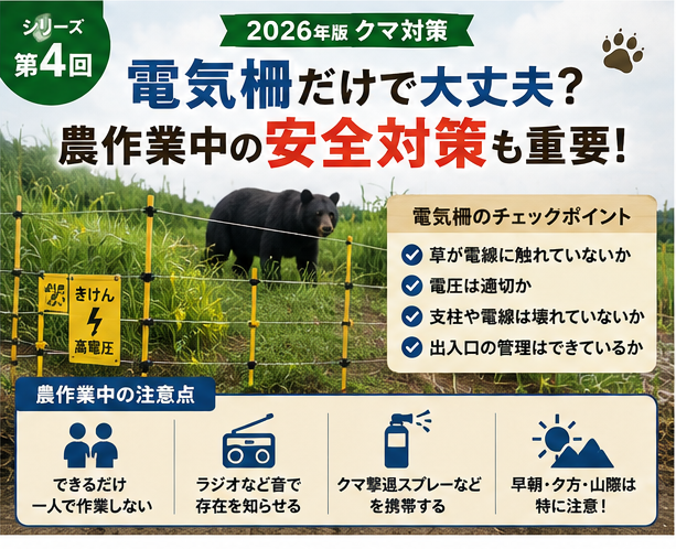 第4回｜電気柵だけで大丈夫？農作業中に注意したいクマ対策